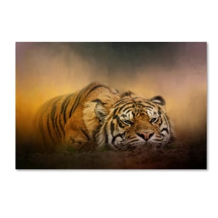 Jai Johnson 'The Tiger Awakens' Canvas Art,30x47